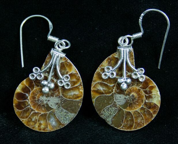 Stylish Ammonite Earrings - Sterling Silver #7667